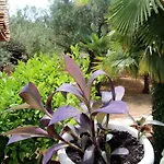 Family Friendly Seaside Apartments Vodice - 928