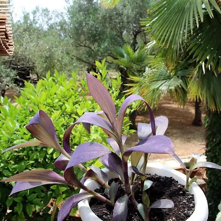 Family Friendly Seaside - 928